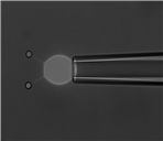 1微米油滴碰撞2數(shù)據(jù).png